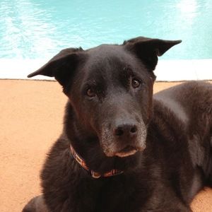 Meet your Posher, Linda